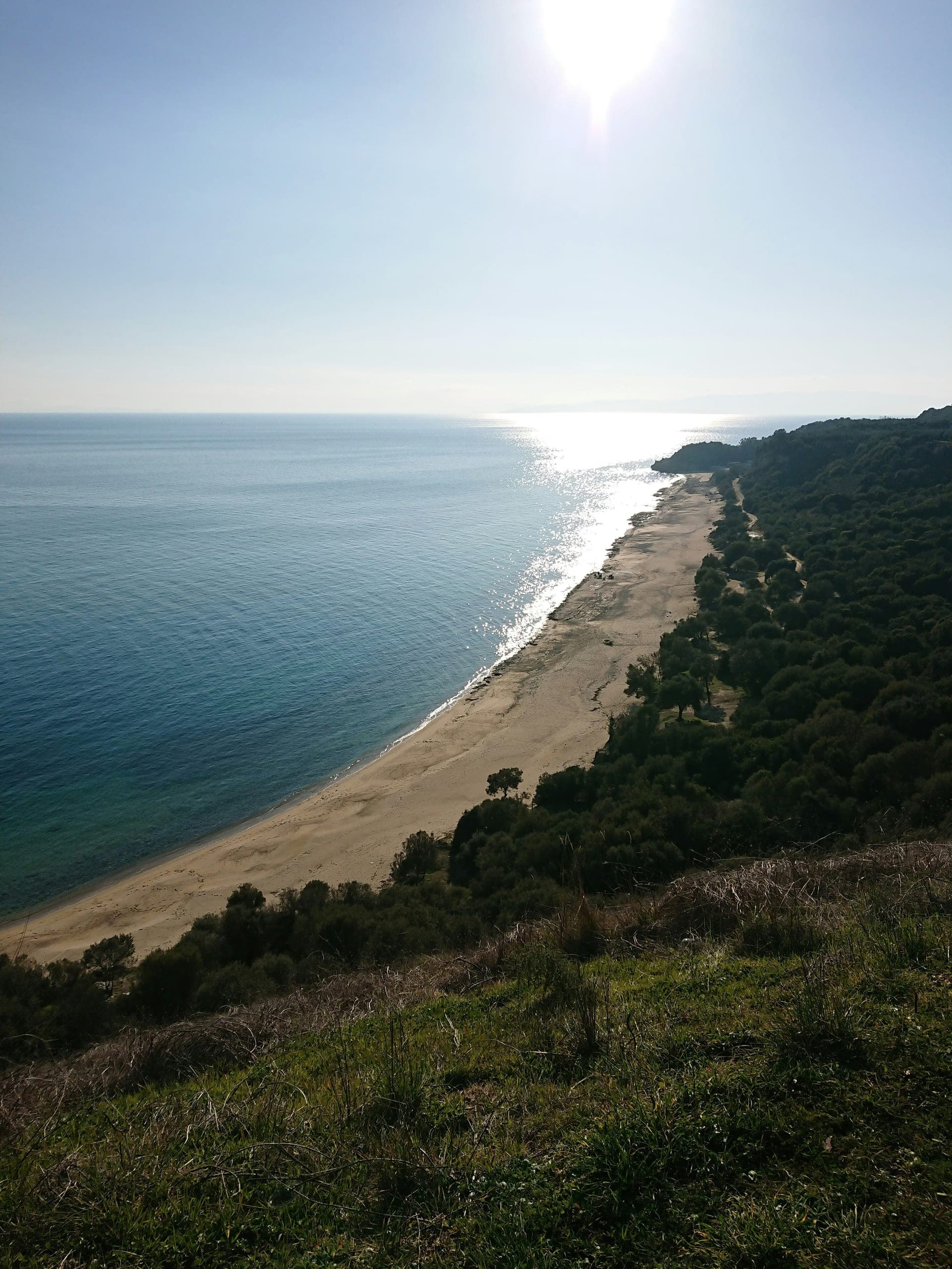 Korora coastal elevated properties north of Coffs Harbour, NSW 2450